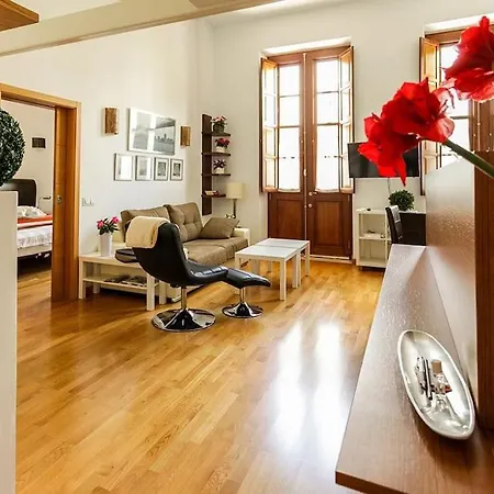 Centrico Loft En El Centro De Cruz Daire